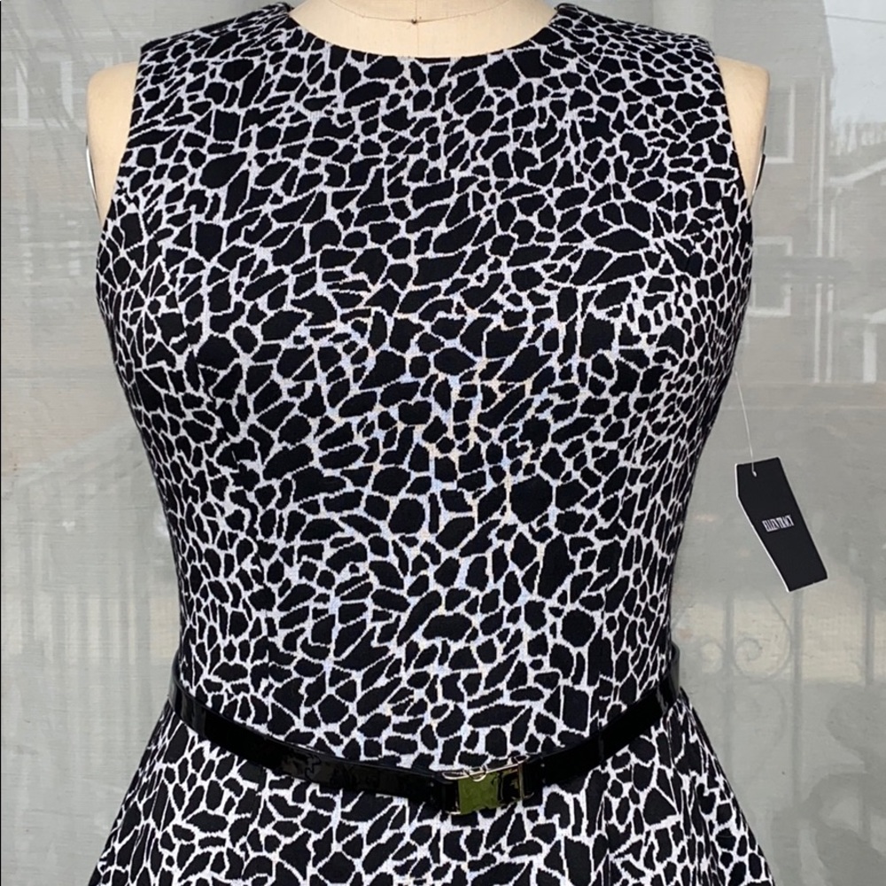 Fit & Flare Belted Dress